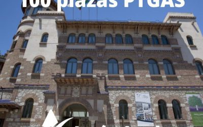 La Universidad de Málaga aprueba su Oferta de Empleo Público 2025 con 100 plazas para PTGAS